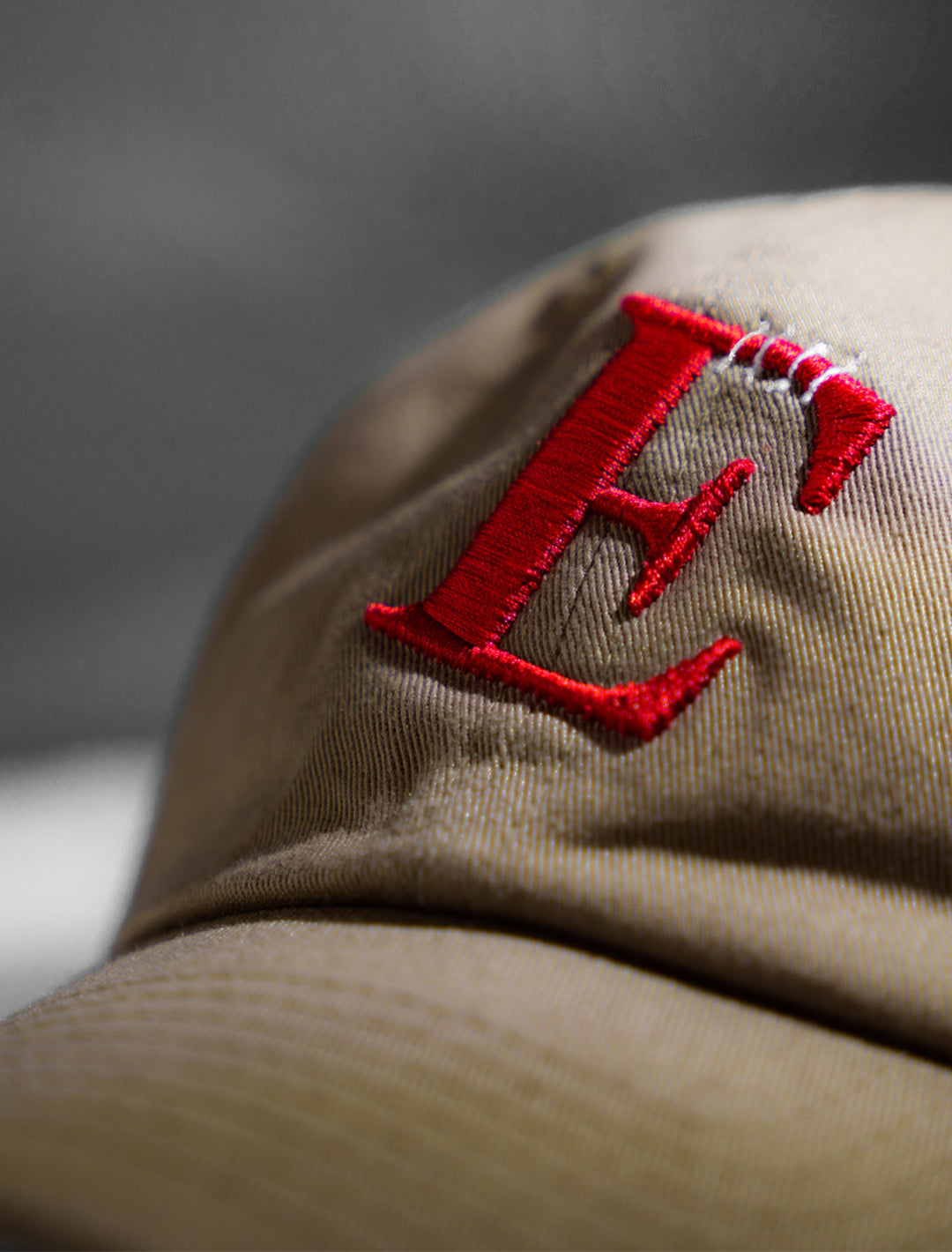 Enemy of the State Crook'd Puff Embroidery Dad Hat